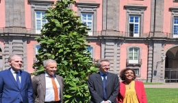 Napoli: il Sindaco Manfredi ha partecipato alla piantumazione dell'albero dell'amicizia