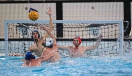 Rari Nantes Arechi - Basilicata,  gli 'Invicti' ripartono dal +8 di gara 1 e 'vedono' gi la finale