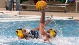 Anzio - Bava Opportunity Ischia, ultimo test per i Marines prima dei play-off