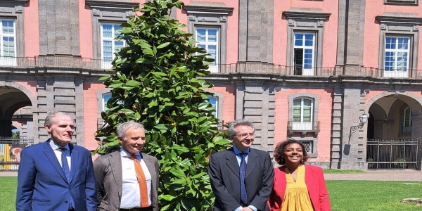 Napoli: il Sindaco Manfredi ha partecipato alla piantumazione dell'albero dell'amicizia