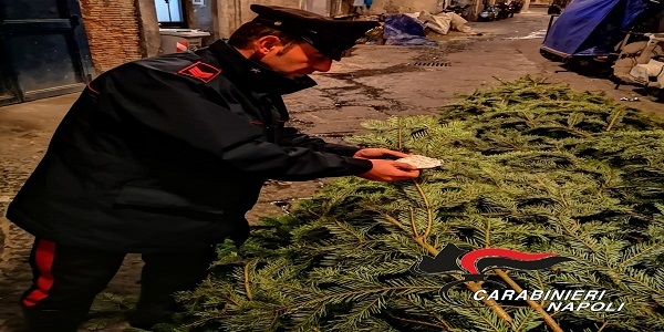 Napoli: i Carabinieri trovano l'albero di Natale rubato in Galleria