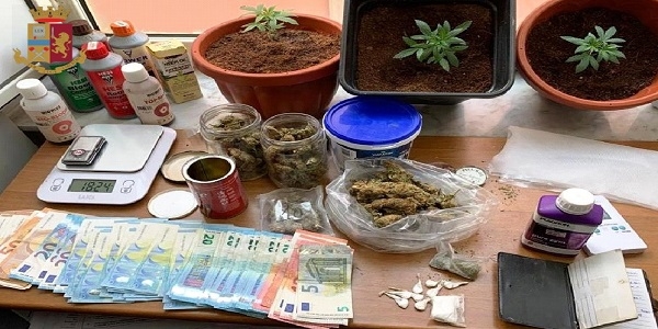 Napoli: arrestato un 23enne. Coltivava piante di marijuana in casa