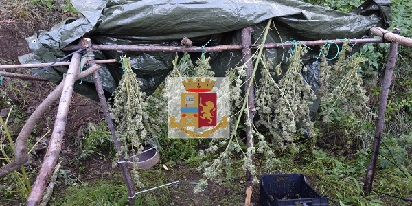 Castellammare: operazione antidroga, la polizia sequestra 7 kg di canapa indiana