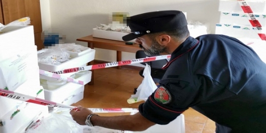 Casamicciola: i carabinieri sequestrano 300 kg di latticini e denunciano 2 persone