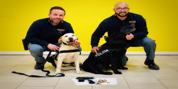 Portici: i cani trovano armi e munizioni, la polizia arresta un uomo