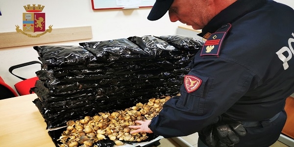 Napoli: Nascondeva nel bagaglio 6 kg di capsule di papavero da oppio, arrestato dalla Polfer