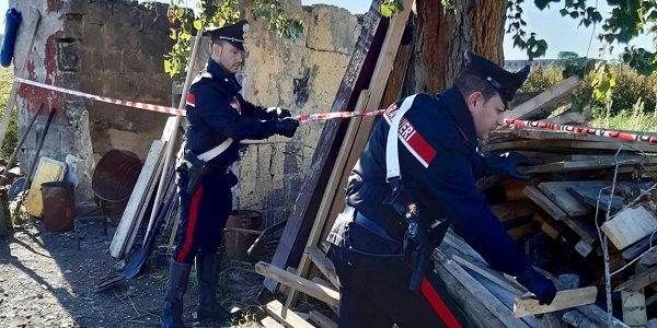Giugliano: 40enne arrestato dai carabinieri mentre incendiava legno formicato