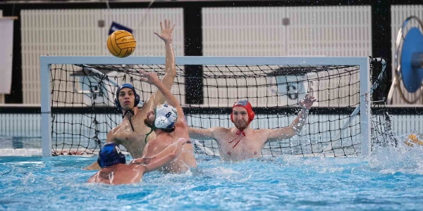 Rari Nantes Arechi - Basilicata, gli 'Invicti' ripartono dal +8 di gara 1 e 'vedono' già la finale