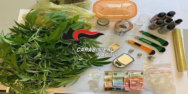 Monteruscello:  coltivazione e detenzione di stupefacenti a fini di spaccio, 29enne arrestato dai CC