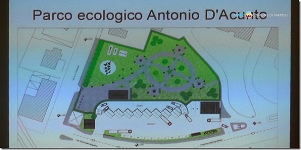 Napoli: cerimonia in ricordo di Antonio D'Acunto, amico dell'ambiente