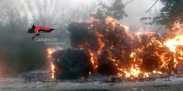 Striano: balle di plastica incendiate, indagano i carabinieri del Nucleo Forestale
