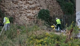 Pulizia e sistemazione del verde a Cavalli di bronzo. In campo Asia e Napoli Servizi